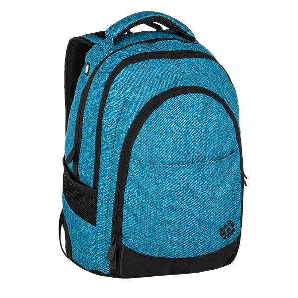 Plecak młodzieżowy BAGMASTER DIGITAL 9 D BLUE/BLACK